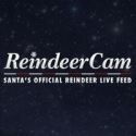 ReindeerCam Santa's Official Reindeer Live Feed