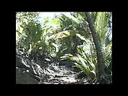 A trip to Devils Island, Kourou, French Guyana in 1995