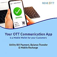 Pro and Cons of White Label Chat App