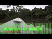 Amazon Rainforest - Iquitos Peru