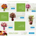 Send Flowers They'll Love | ProFlowers, Online Flower Delivery