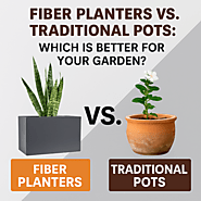 Fiber Planters vs. Traditional Pots: Which Is Better for Your Garden?