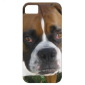 American Bulldog iPhone 5 Case from Zazzle.com