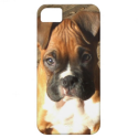 Boxer dog iPhone 5 Universal Case iPhone 5 Cases from Zazzle.com