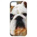 Bulldog ID™ iPhone 5 Case from Zazzle.com