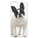 French Bulldog photo iPhone 5 mate case, gift idea iPhone 5 Covers from Zazzle.com