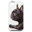 French Bulldog iPhone 5 Case from Zazzle.com