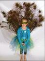 Beautiful Peacock Costume for Girls