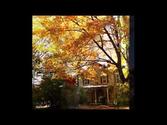 fall colors in Port Chester NY Nov 1 & 2 2013 ;)