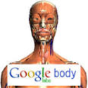 Google Body