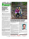- The Working Forest, Your #1 source for forestry and forest industry news