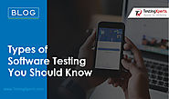 What are the Main Types of Software Testing?