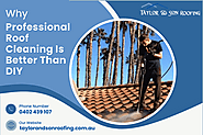Why Professional Roof Cleaning Is Better Than DIY