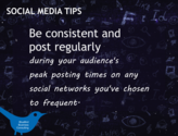 Be consistent and post regularly during your audience’s peak posting times on any social networks you’ve chosen to fr...