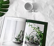 Photo by Foto T on Unsplash