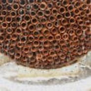 Inhabitat - Green Design, Innovation, Architecture, Green Building