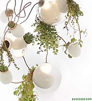 Diseño Verde - Ecocosas