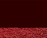 Blood Cells PowerPoint Template | Free Powerpoint Templates