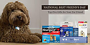 National Best Friend’s Day – Top 5 Gifts for Your Fur Friend