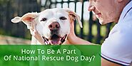 How To Be A Part Of National Rescue Dog Day?