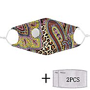 Paisley Facemask with Filter Pads