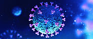 Possible Impact of Coronavirus (COVID-19) on Digital Marketing | Digital Marketing Training Institute, Hyderabad and ...