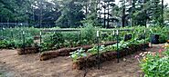 How to Grow a Straw Bale Vegetable Garden in small place