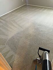 Why You Should Hire Carpet Cleaning Companies