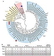 Genomes of 5 PET-Plastic-Degrading Bacterial Isolates