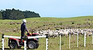 Post and Rail Fencing That Stands the Test of Time