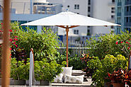 Best Pool Side Umbrella Manufacturer in India