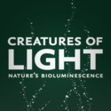 Creatures of Light