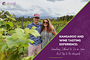 Kangaroos and Wine Tasting Experience: - Hunter Valley Tours