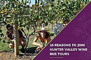 10 Reasons to Join Hunter Valley Wine Bus Tour