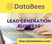 Partner With DataBees to Understand Lead Generation Business Model