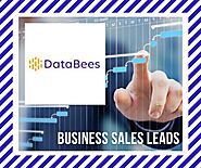 Improve Your Business Sales Leads Generation Process With Our Prospecting