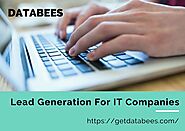 DataBees Go The Extra Mile to Accelerate Lead Generation For IT Companies