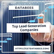 Collaborate with One of the Best Top Lead Generation Companies | DataBees