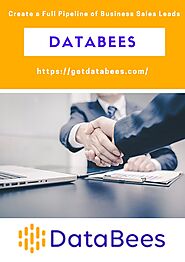 Create a Full Pipeline of Business Sales Leads With The Help of DataBees