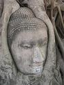 Treasures of Wat Burana & Wat Mahathat