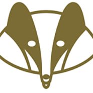Swanky Badger - Business & Professional Services - Local Business