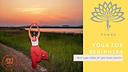 15 Minute Yoga Workout: A Short Beginner Yoga Sequence for Your Body