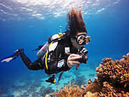 Scuba Diving - Underwater Sports
