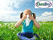 Johnson County ChemDry, Carpet Cleaner: Ways to Help Clear Up Your Child's Allergies