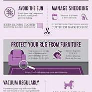 Rug Care Guide | Visual.ly