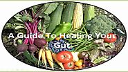 A Guide To Healing Your Gut and a Healthy Microbiome