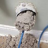 Best Dryer Vent Cleaning Services in Tampa