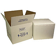 Thermal Shield Insulated Styrofoam Shipping Boxed | GBE Packaging