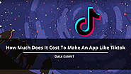 How Much Does It Cost To Make An App Like Tiktok? : dataeximit