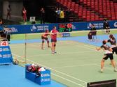 Yonex Japan Open MetLife BWF World Superseries 2014